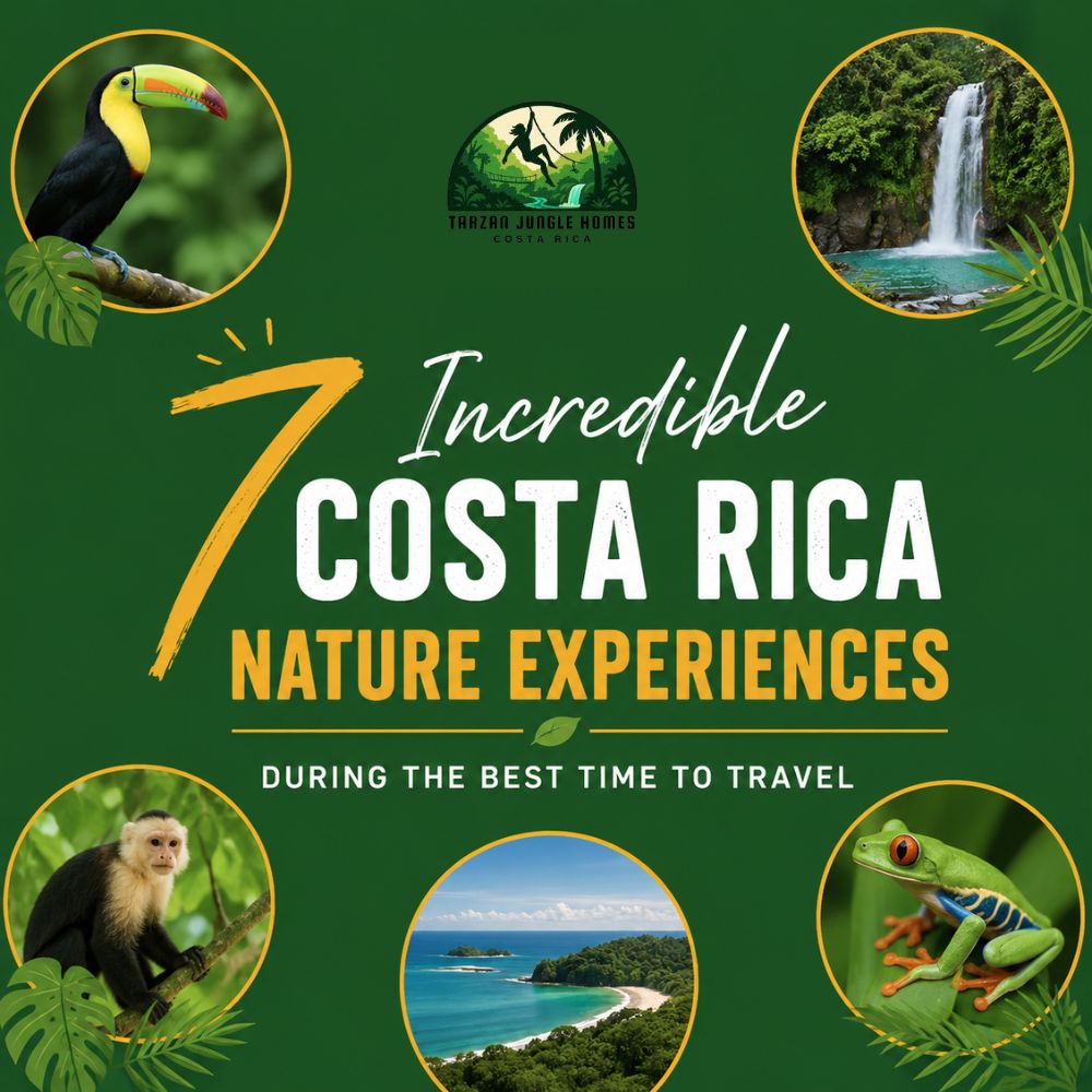 7 Incredible Costa Rica Nature Experiences During the Best Time to Travel