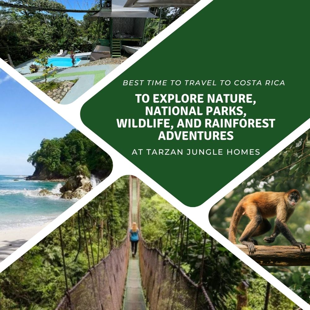 Best Time to Travel to Costa Rica to Explore Nature, National Parks, Wildlife, and Rainforest Adventures at Tarzan Jungle Homes