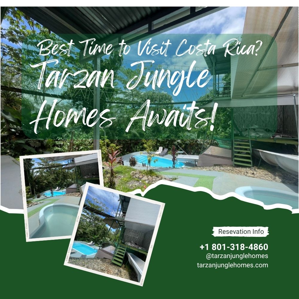 Best Time to Visit Costa Rica Tarzan Jungle Home Awaits!