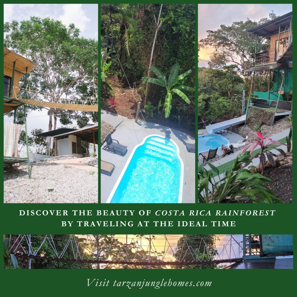 Discover the Beauty of Costa Rica Rainforest by Traveling at the Ideal Time