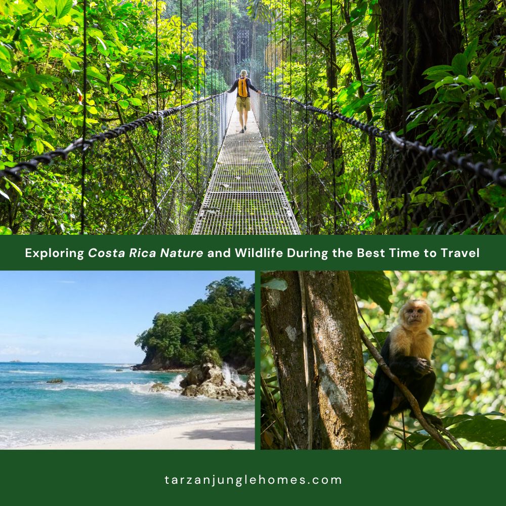 Exploring Costa Rica Nature and Wildlife During the Best Time to Travel