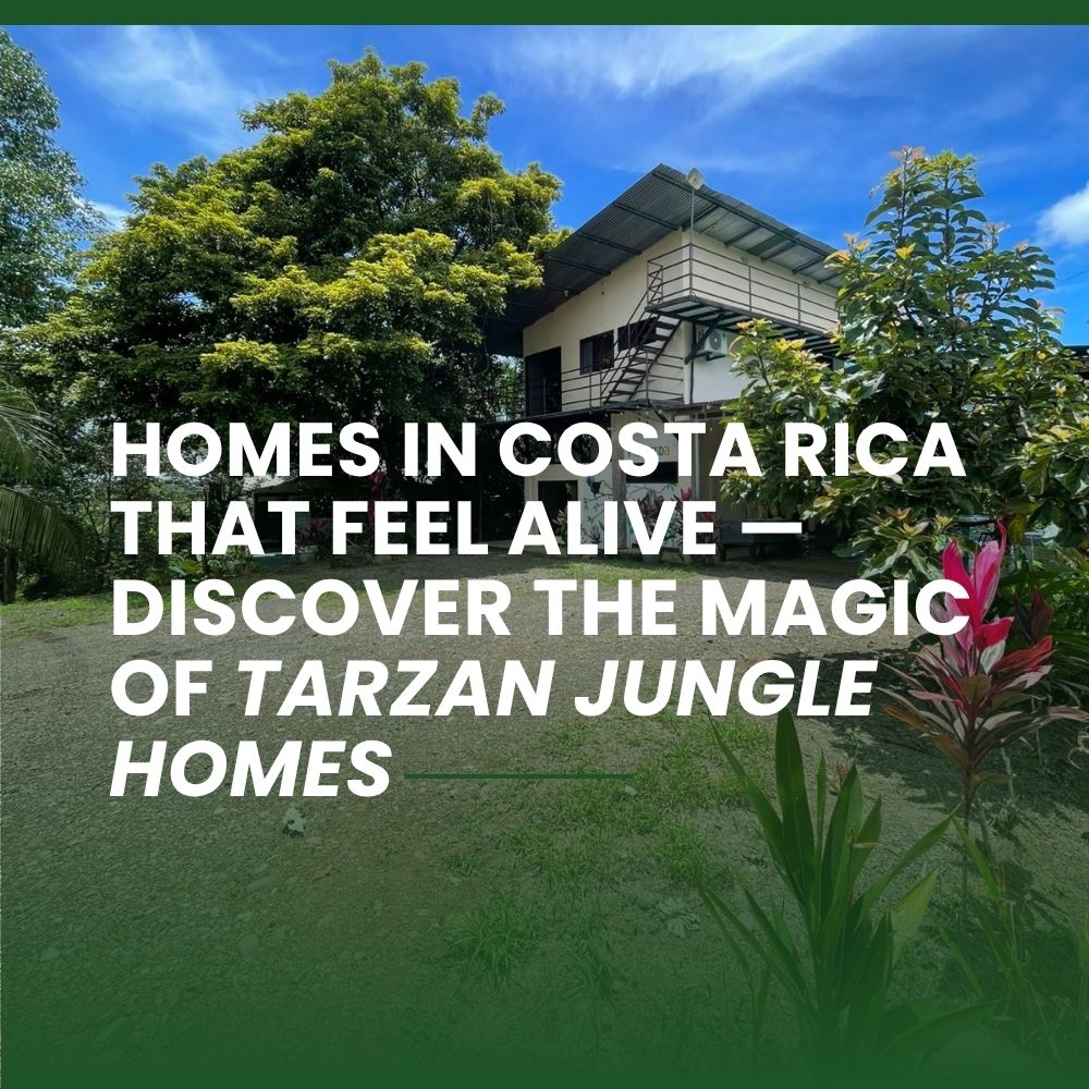 Homes in Costa Rica That Feel Alive — Discover the Magic of Tarzan Jungle Homes