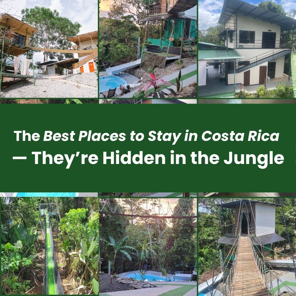 The Best Places to Stay in Costa Rica — They’re Hidden in the Jungle