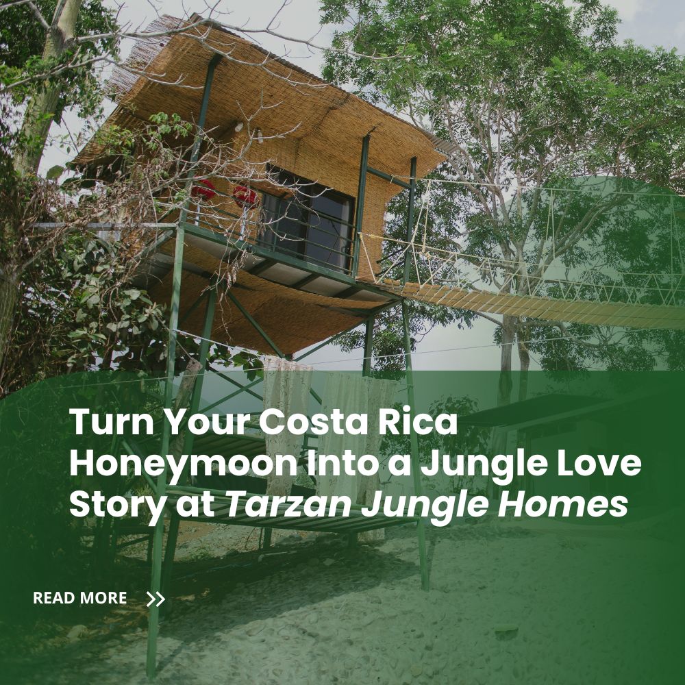 Turn Your Costa Rica Honeymoon Into a Jungle Love Story at Tarzan Jungle Homes