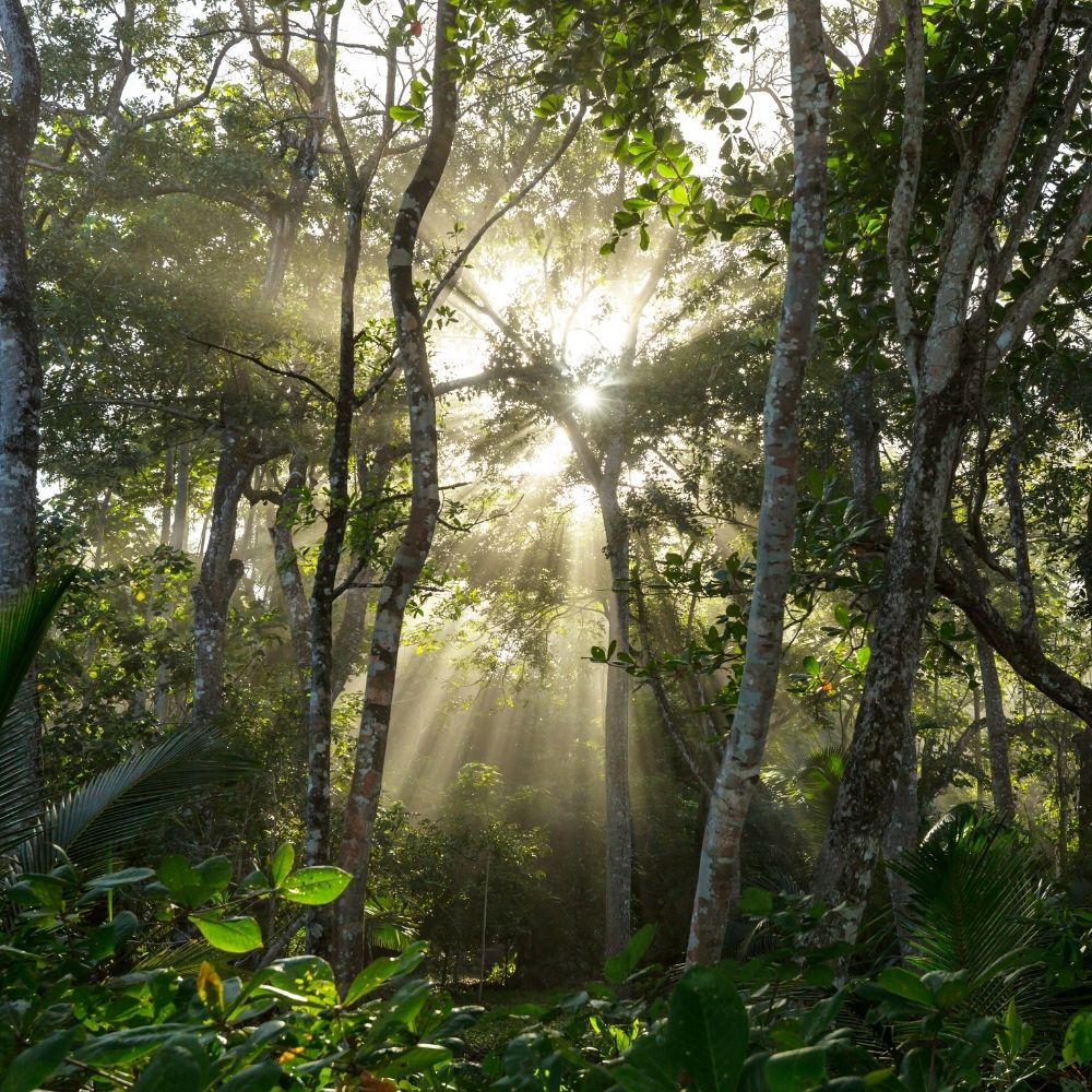 costa rica green season