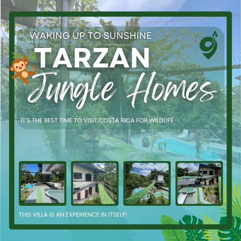 rentals in costa rica