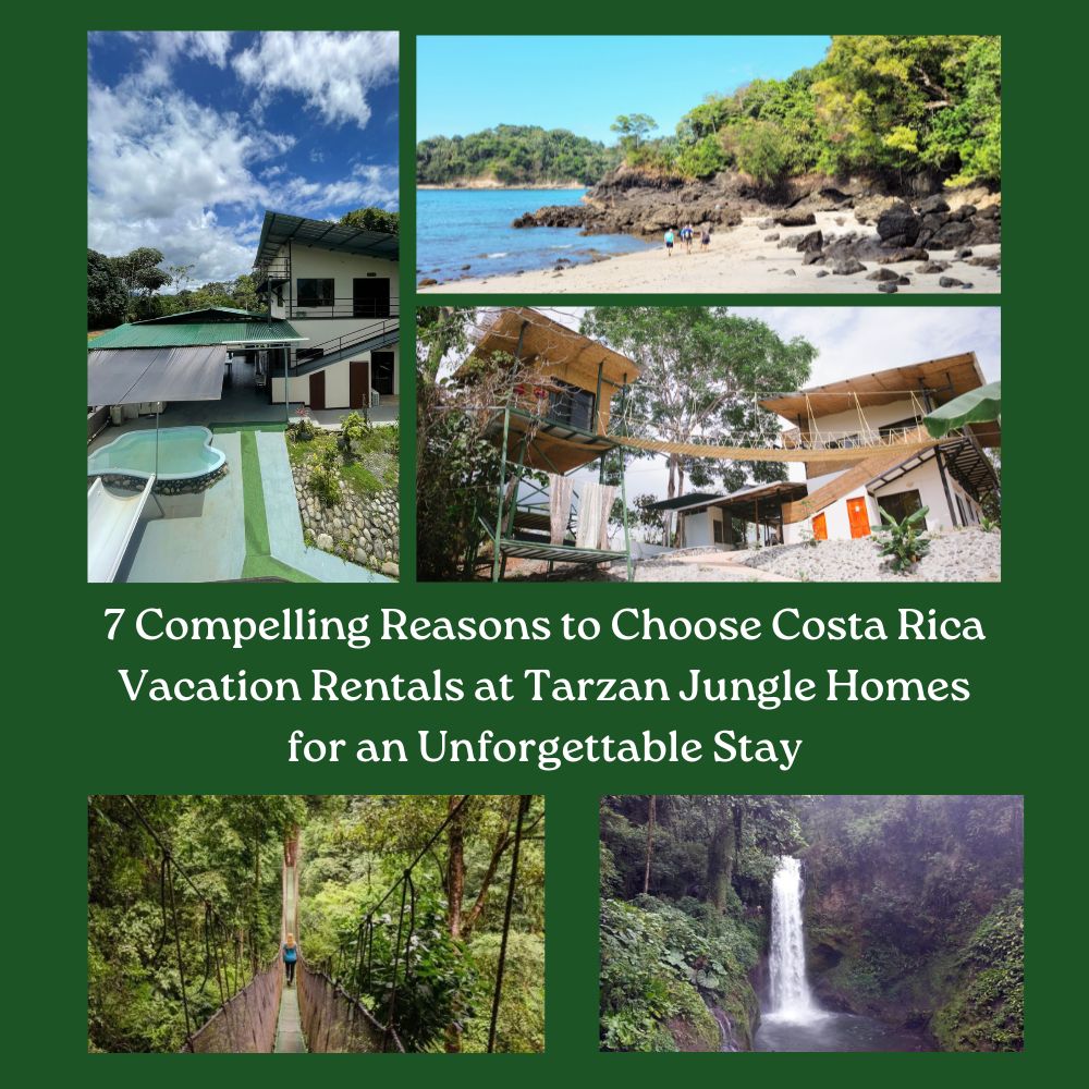 7 Compelling Reasons to Choose Costa Rica Vacation Rentals at Tarzan Jungle Homes for an Unforgettable Stay