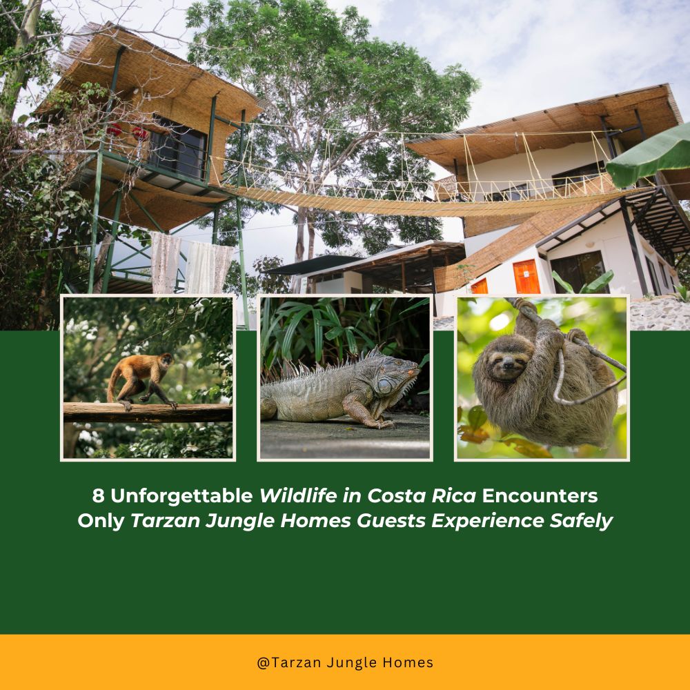 8 Unforgettable Wildlife in Costa Rica Encounters Only Tarzan Jungle Homes Guests Experience Safely