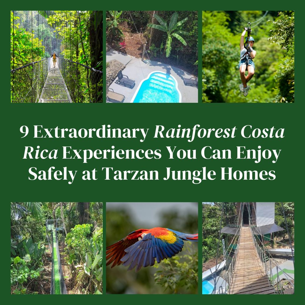 9 Extraordinary Rainforest Costa Rica Experiences You Can Enjoy Safely at Tarzan Jungle Homes