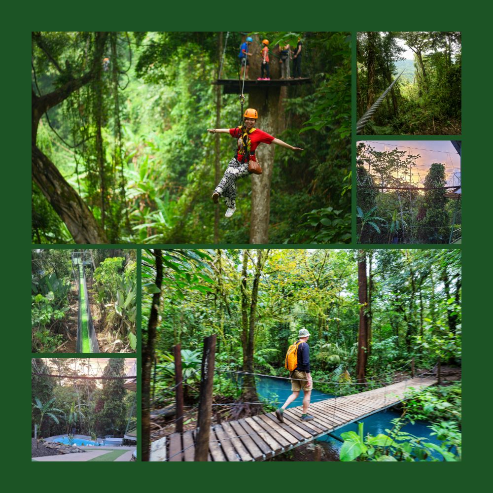 costa rica jungle tours