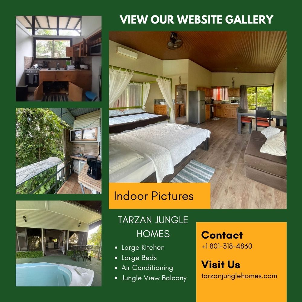 vacations in costa rica
