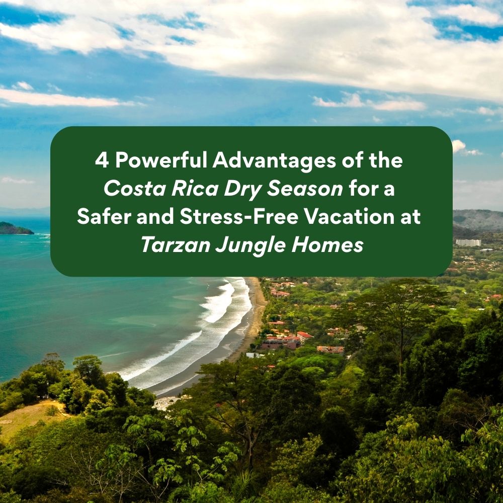 4 Powerful Advantages of the Costa Rica Dry Season for a Safer and Stress-Free Vacation at Tarzan Jungle Homes