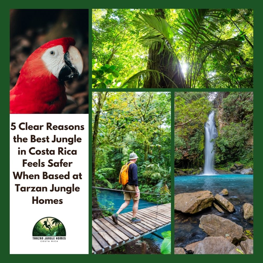 5 Clear Reasons the Best Jungle in Costa Rica Feels Safer When Based at Tarzan Jungle Homes