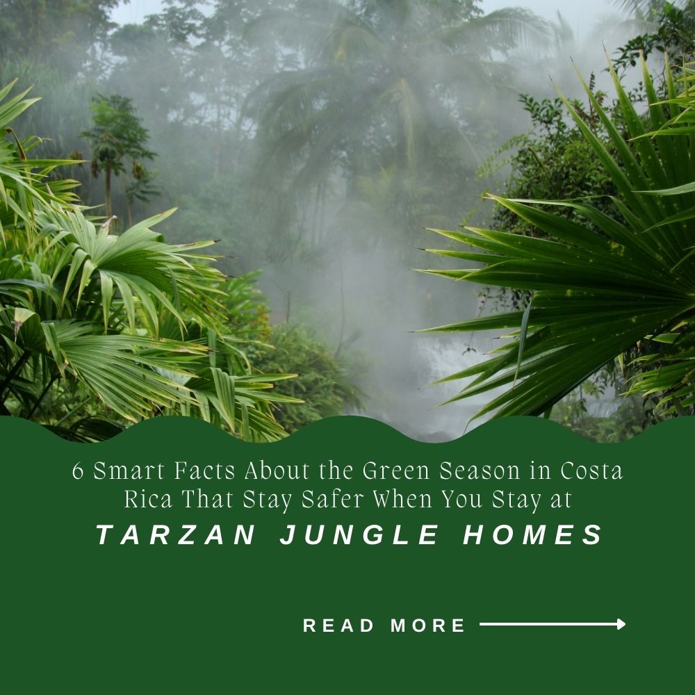 6 Smart Facts About the Green Season in Costa Rica That Stay Safer When You Stay at Tarzan Jungle Homes