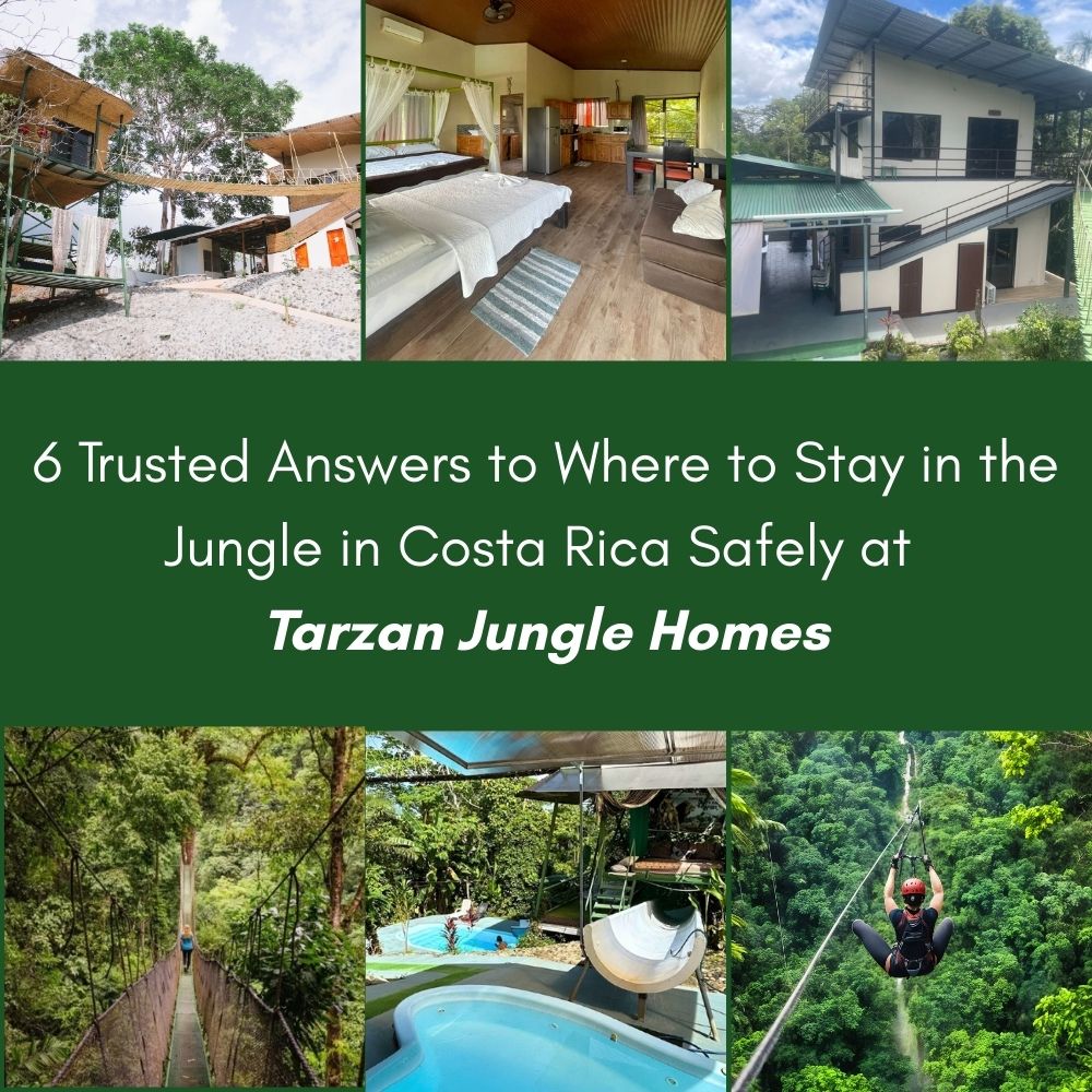 6 Trusted Answers to Where to Stay in the Jungle in Costa Rica Safely at Tarzan Jungle Homes