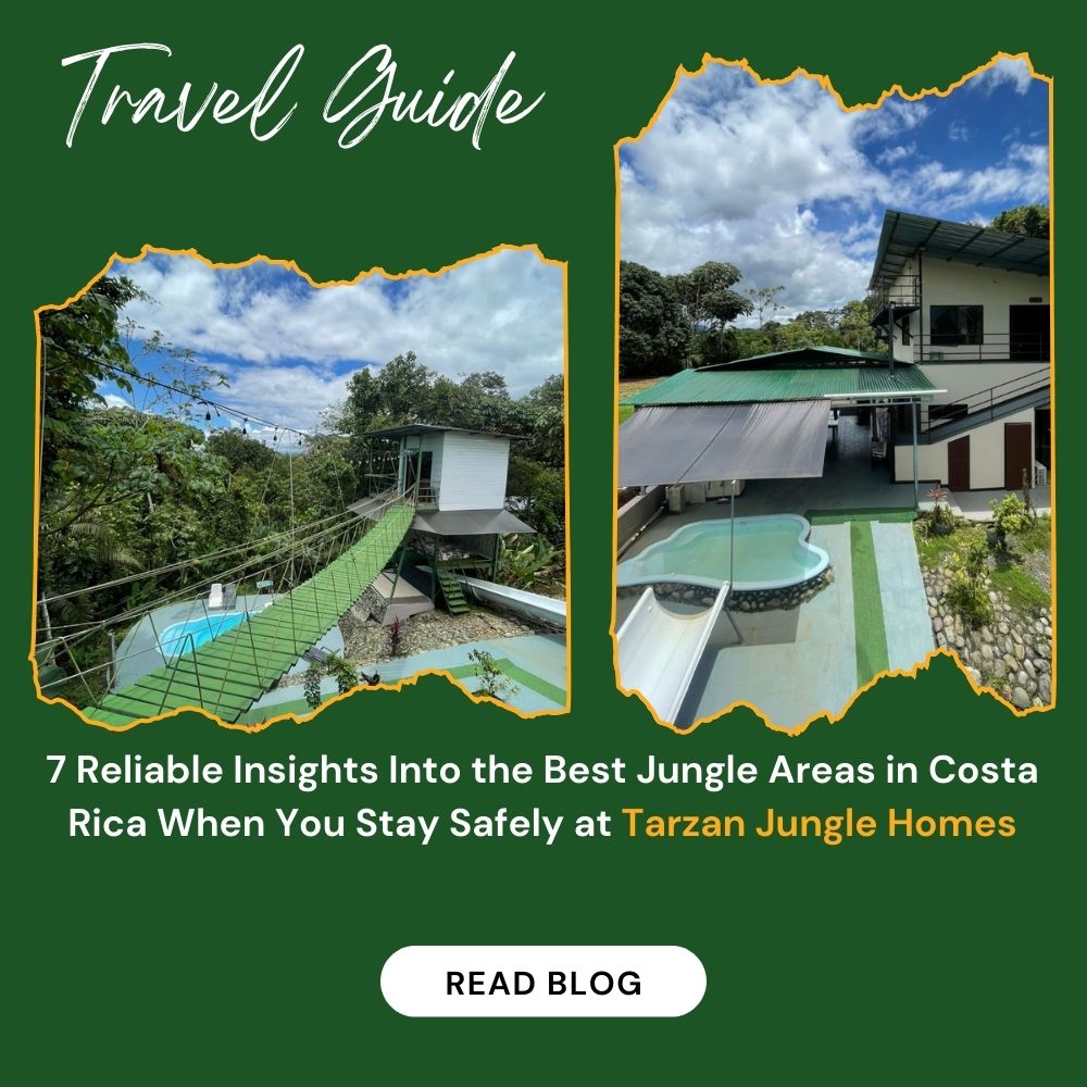 7 Reliable Insights Into the Best Jungle Areas in Costa Rica When You Stay Safely at Tarzan Jungle Homes