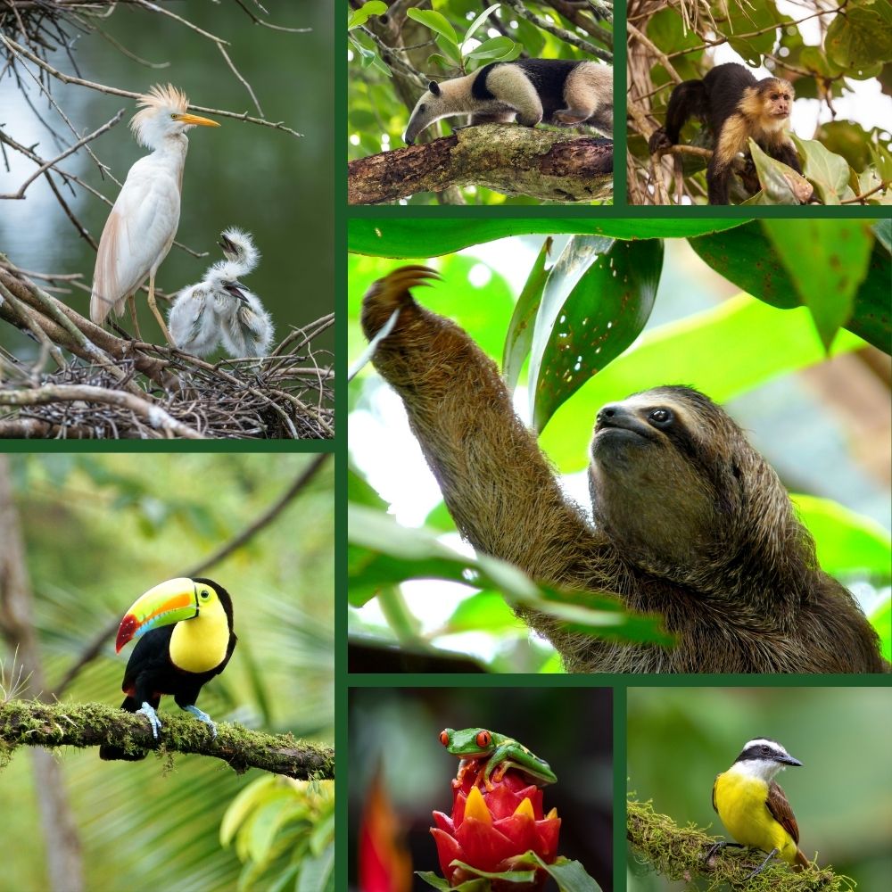best places to travel in costa rica