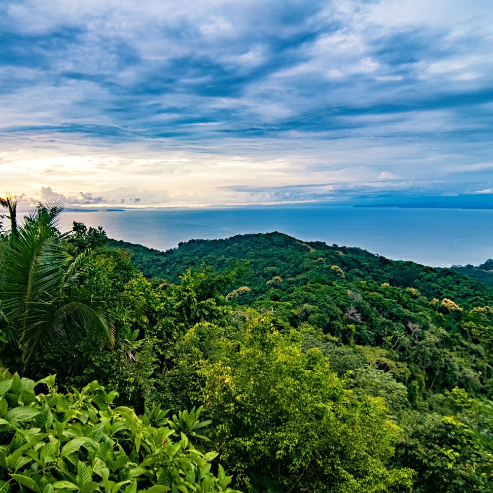 costa rica temperature by month