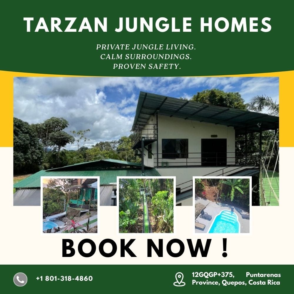 where to stay in the jungle in costa rica