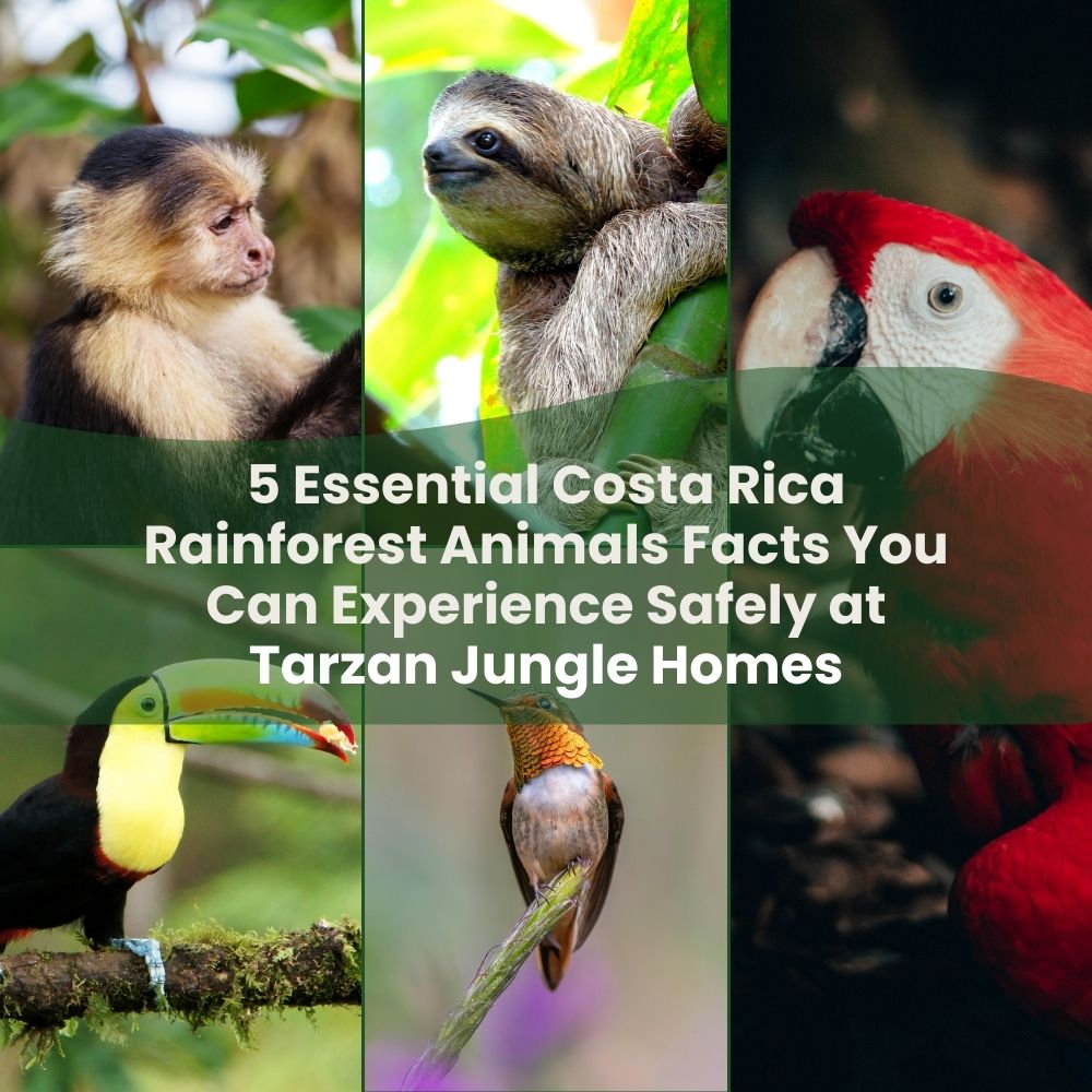 5 Essential Costa Rica Rainforest Animals Facts You Can Experience Safely at Tarzan Jungle Homes