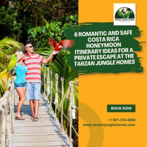 6 Romantic and Safe Costa Rica Honeymoon Itinerary Ideas for a Private Escape at the Tarzan Jungle Homes