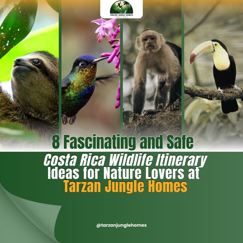 8 Fascinating and Safe Costa Rica Wildlife Itinerary Ideas for Nature Lovers at Tarzan Jungle Homes
