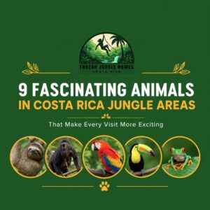 9 Fascinating Animals in Costa Rica Jungle Areas That Make Every Visit More Exciting