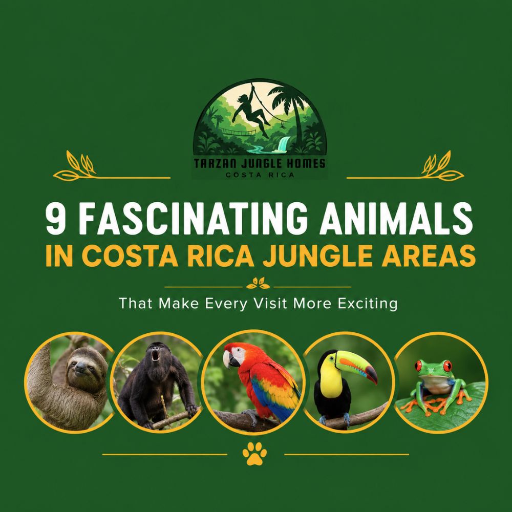 9 Fascinating Animals in Costa Rica Jungle Areas That Make Every Visit More Exciting