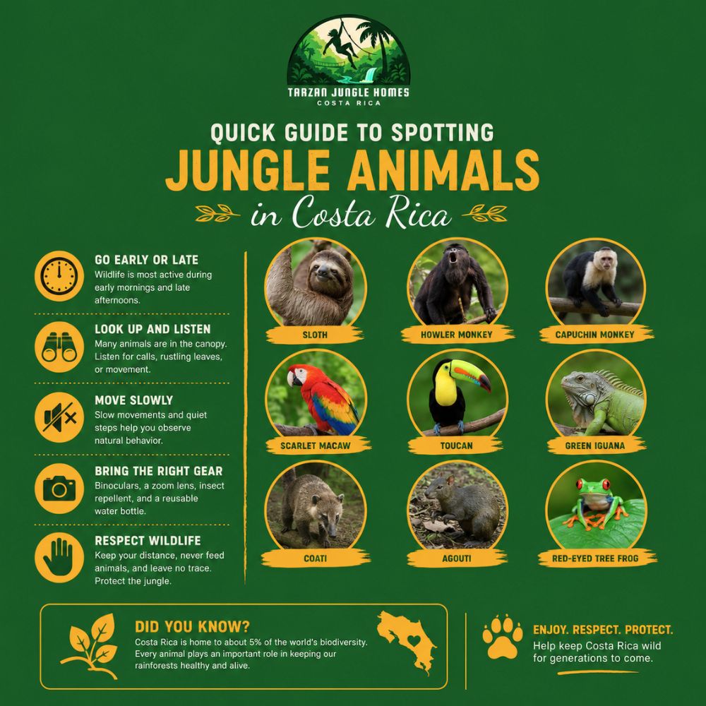 animals in costa rica jungle