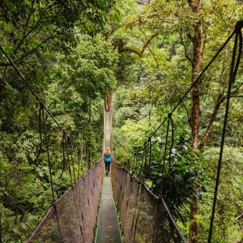 Rainmaker Park in Costa Rica 1